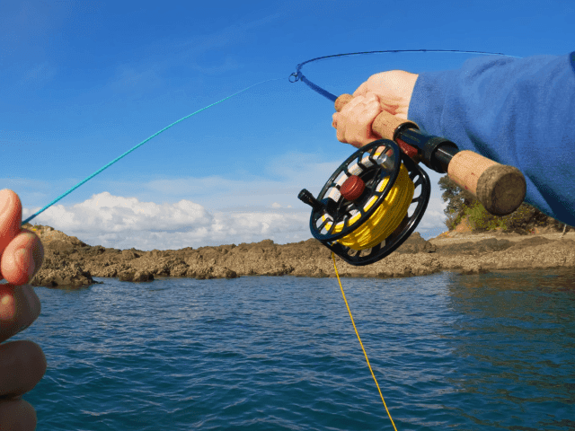 Saltwater Fly Fishing in Auckland